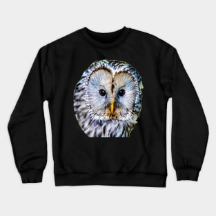 Realistic color pattern - eyes and head of an owl Crewneck Sweatshirt